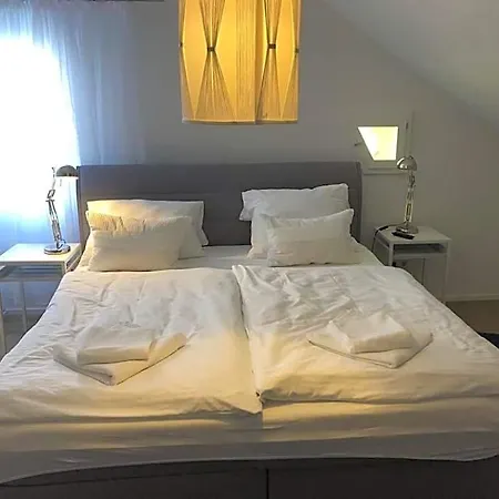 Hotel Zum Bahnhöfle Restaurant&hotel - Am Rhein *
