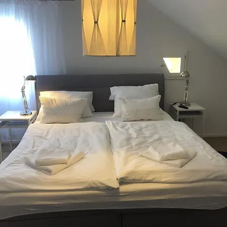 Zum Bahnhoefle Restaurant & - Am Rhein فندق Albbruck